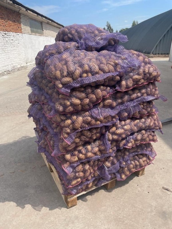 Potato from Russia